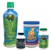 YOUNGEVITY BLOOD SUGAR PACK